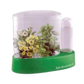 Hydroponics toy